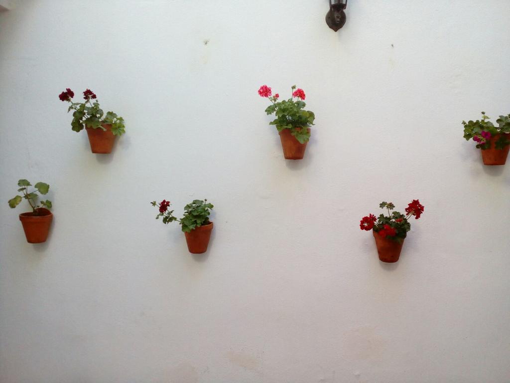 Apartamentos Porvera Jerez Jerez de la Frontera Exteriér fotografie